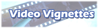 Video Vignettes