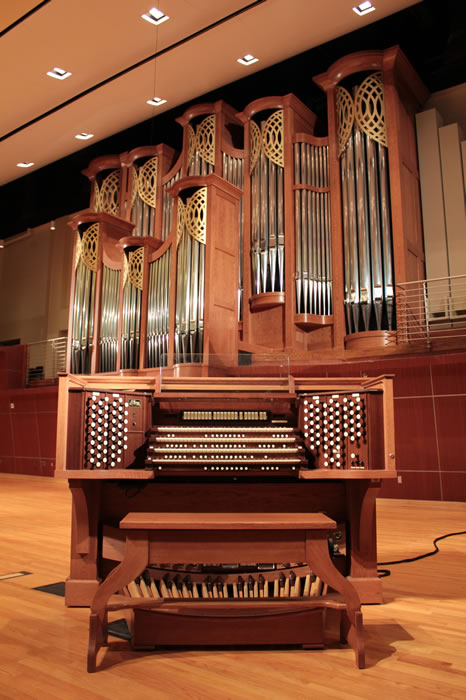 Organ shot