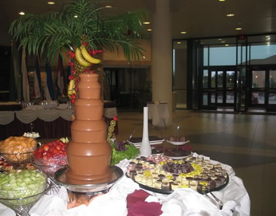 Chocolate fountain with fresh fruit.