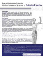 Criminal Justice Flyer