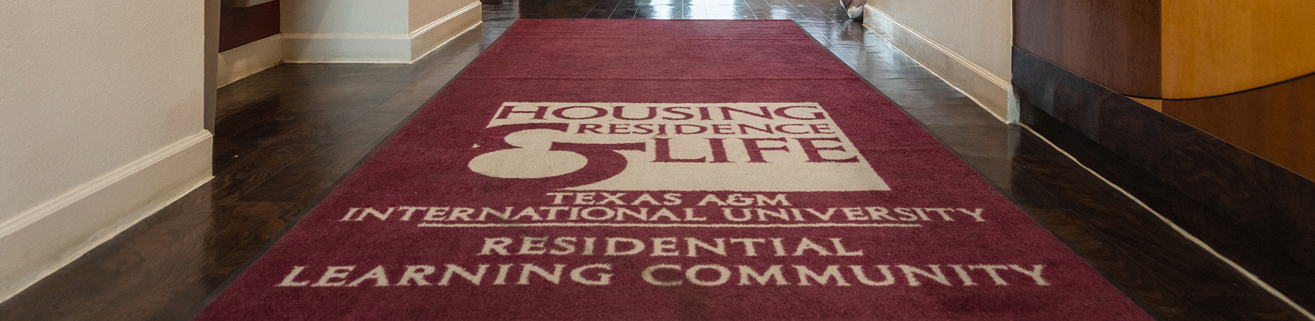 TAMIU Bammer