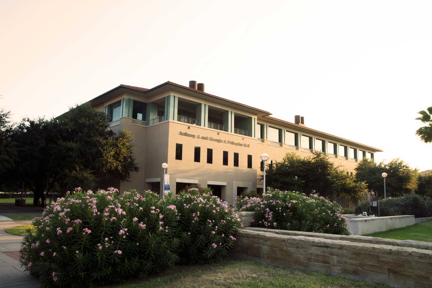 Pellegrino Hall