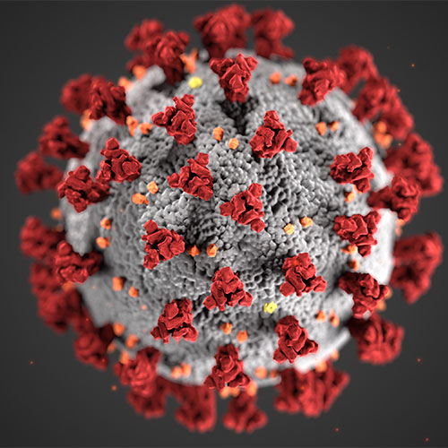 Corona Virus Image