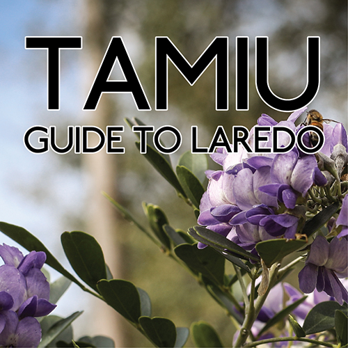 TAMIU Guide to Laredo logo