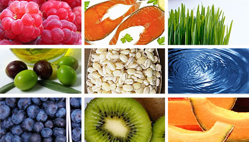 Fitness Nutrition Logo