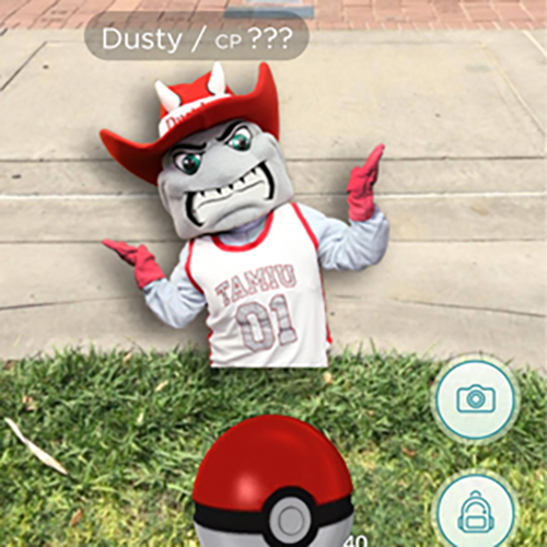 Trainer attempts to capture Dusty the Dustdevil with Pokéball