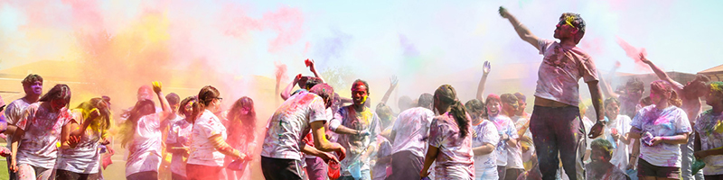 Holi Festival Celebration