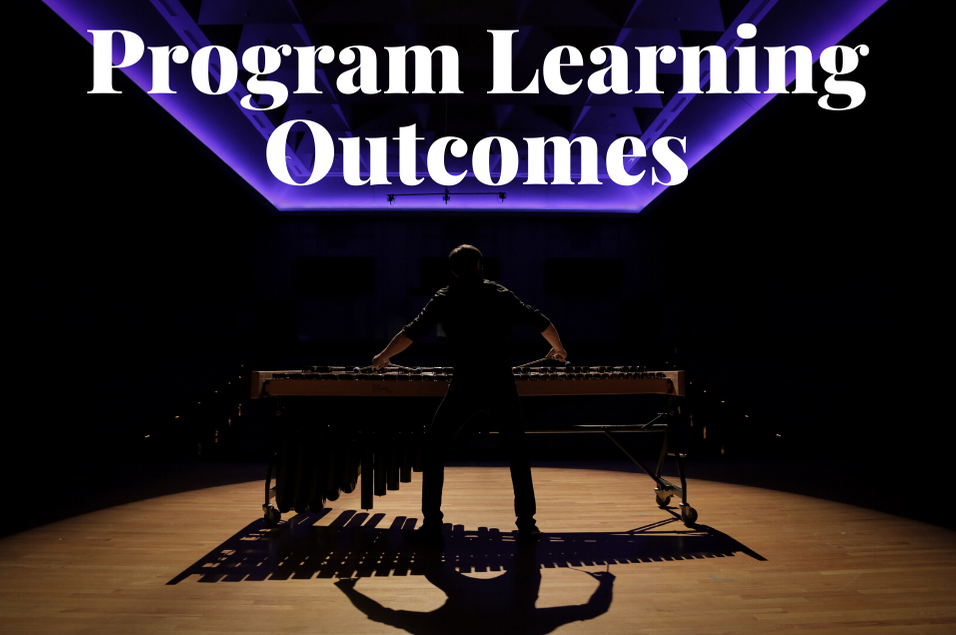 program learning outcomes image