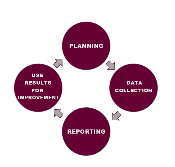 Image of assessment process