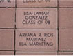 bricks