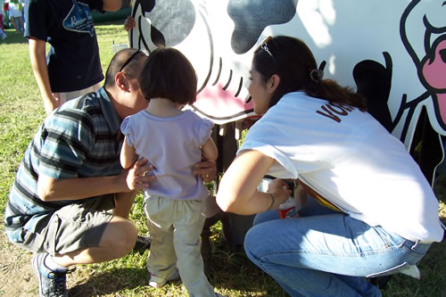 Cow miliking contest