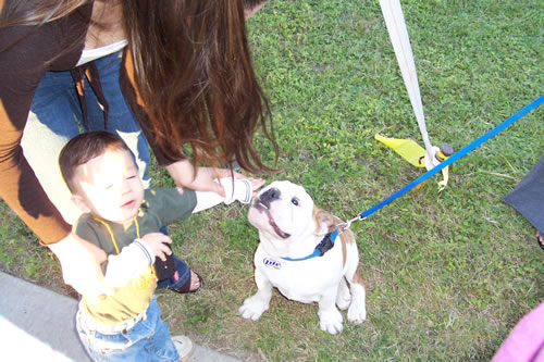 little boy enjoys the fest