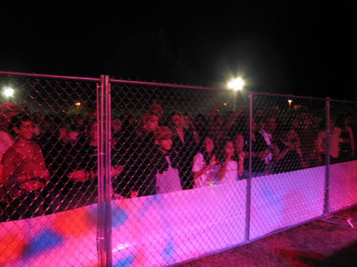 Crowd goes wild over Solido