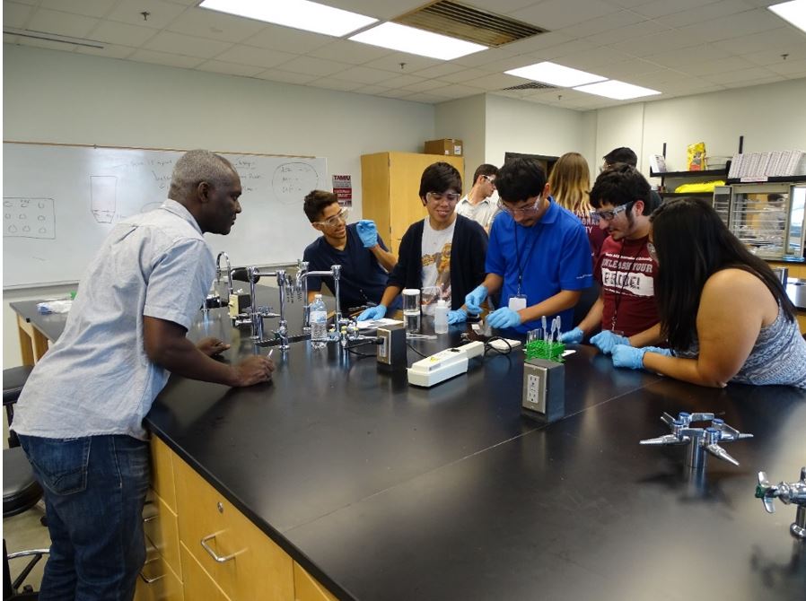 Students in the Chemistry Lab