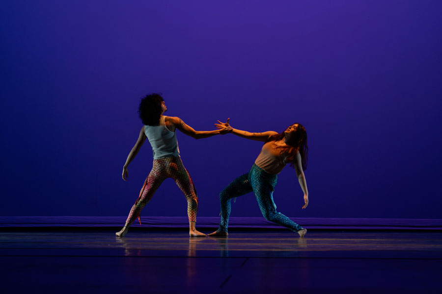 FPA Performances