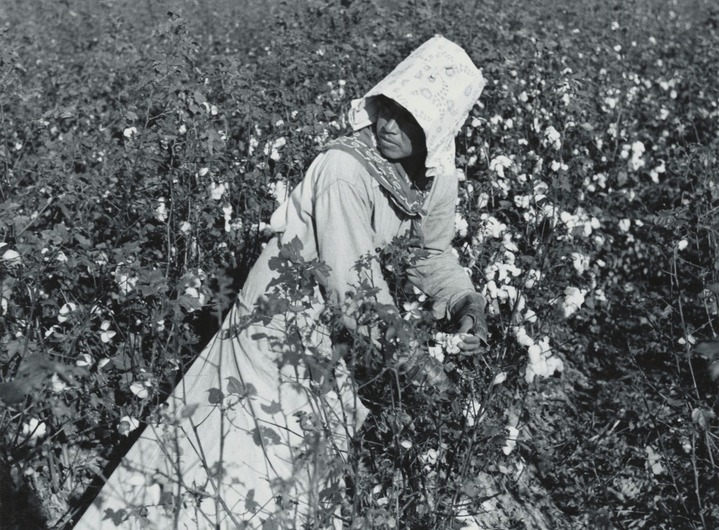 Mexican woman picking cotton on a plantation in Texas (1939)