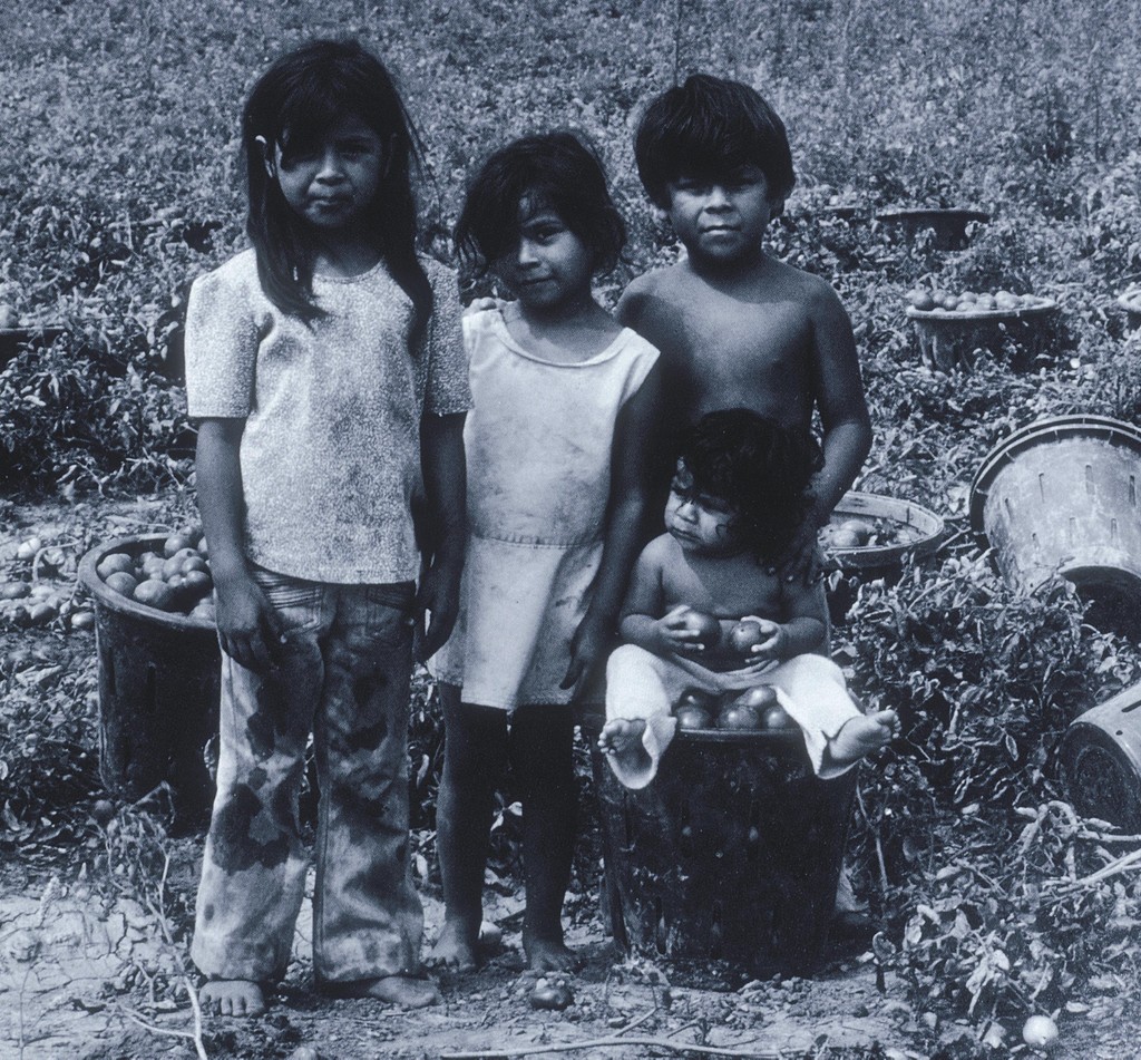 Light, Ken. 1980. Young Pickers and Infant Northwest Ohio