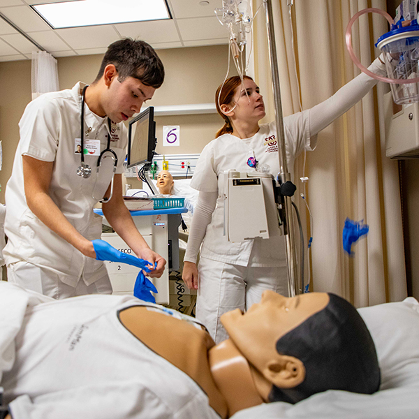 Nursing Practicing