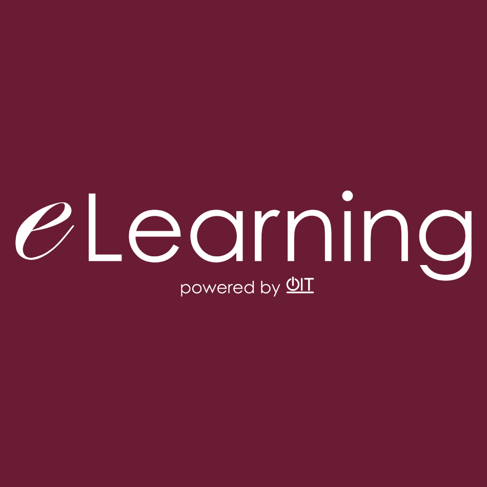 TAMIU eLearning Logo