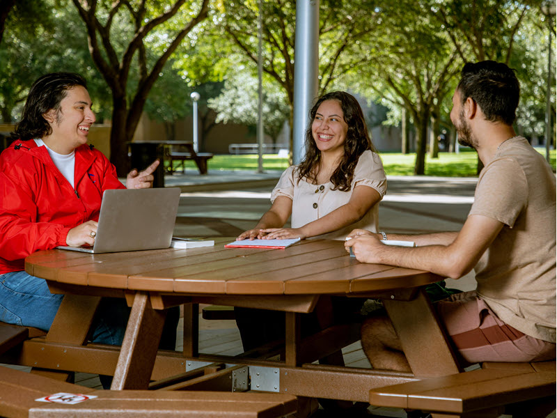 An outdoor scene on a university campus featuring a landscaped area with green grass, trees, and a paved walkway. In the background, there is a large building with light-colored walls and multiple windows. The sky is clear and blue, suggesting a sunny day.