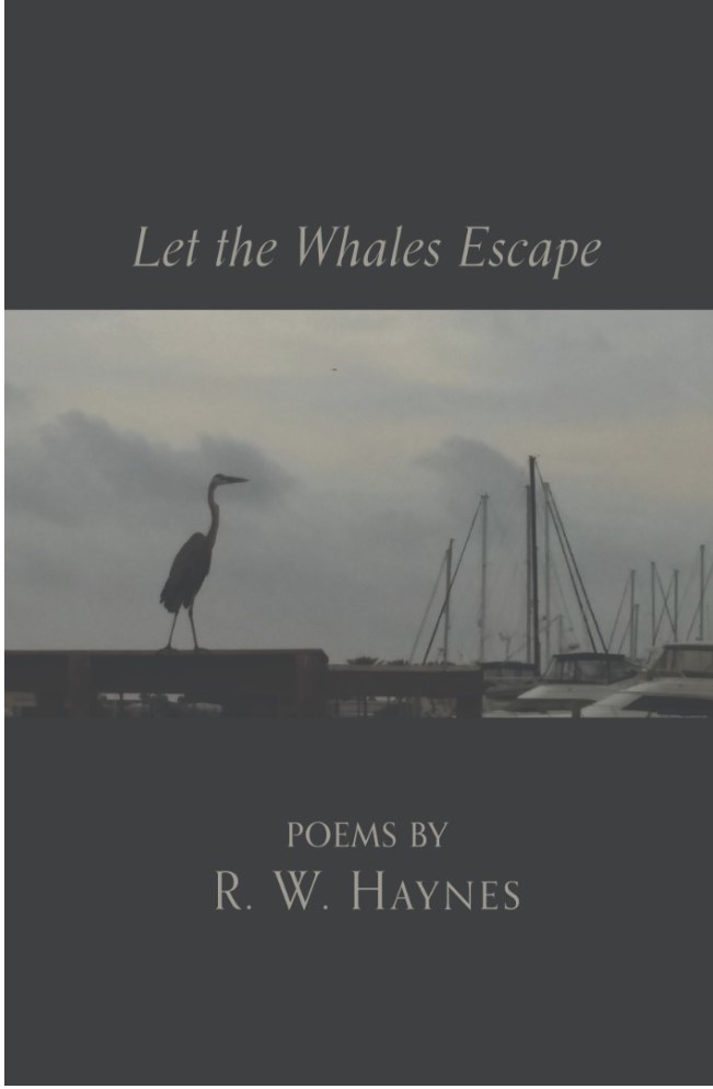 Haynes Whales Escape