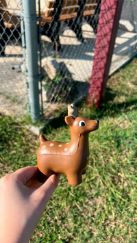 Deer Scavenger Found 10