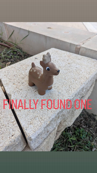 Deer Scavenger Found 16