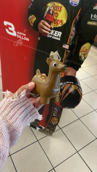 Deer Scavenger Found 23