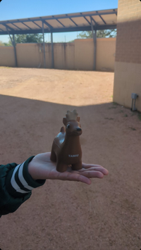 Deer Scavenger Found 28