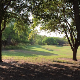 A pastoral scene on TAMIU grounds