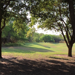 TAMIU Landscape