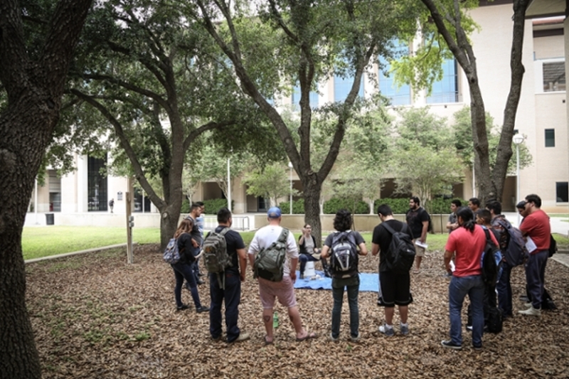 Students studying outside at TAMIU