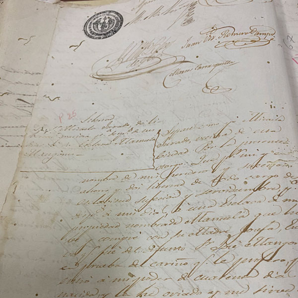 manuscript