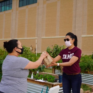 Community garden volunteer hands food to individual.