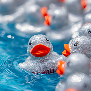 Disco Duck