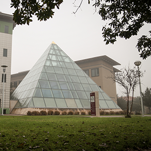 Globe at TAMIU Entrance