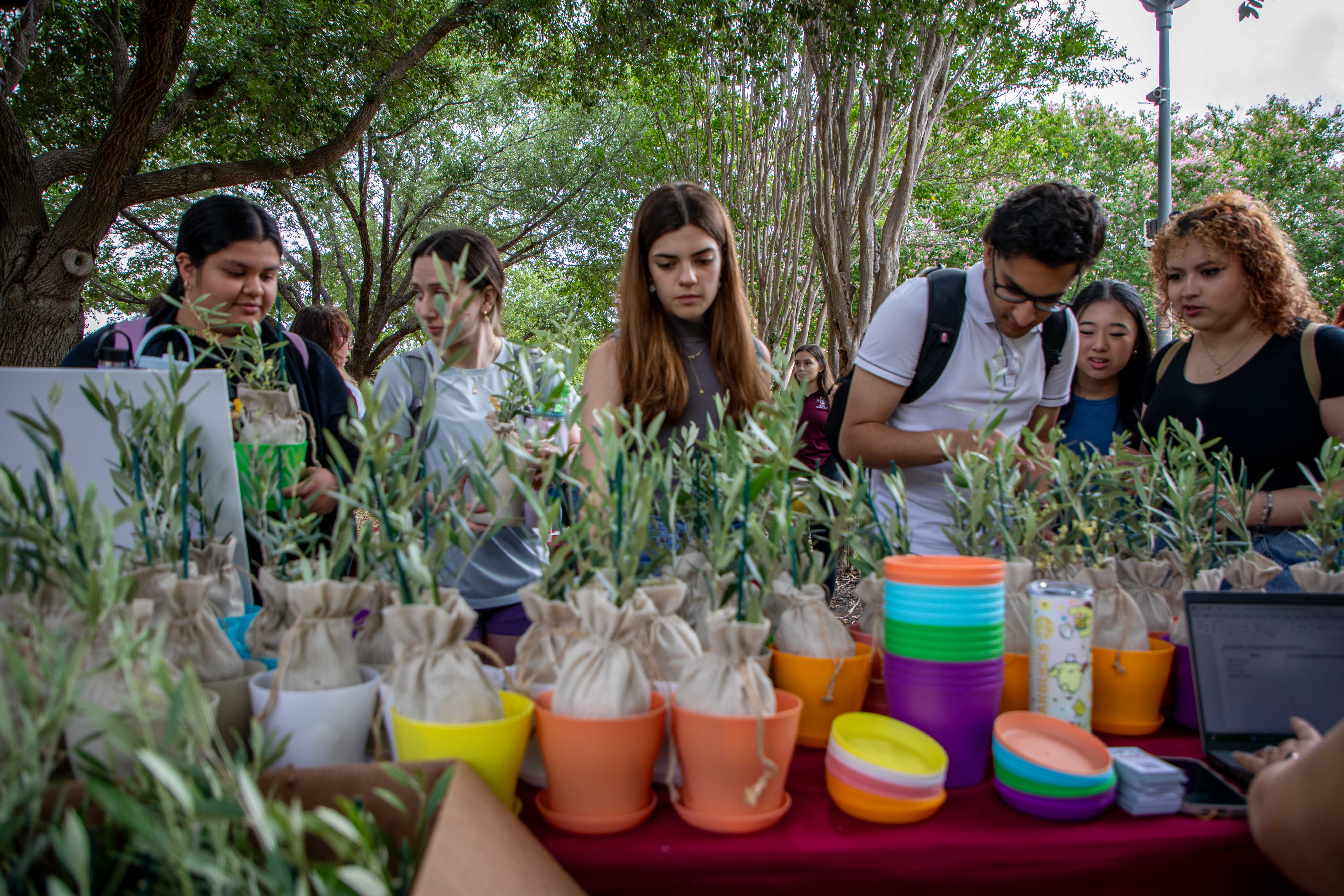 TAMIU celebrating Earth Day with students looking at trees.