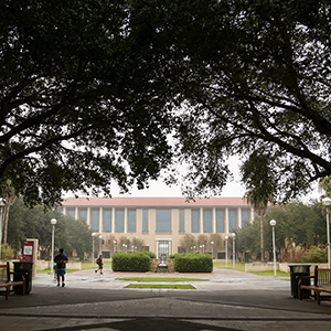 TAMIU Green