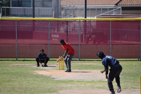 Cricket at TAMIU