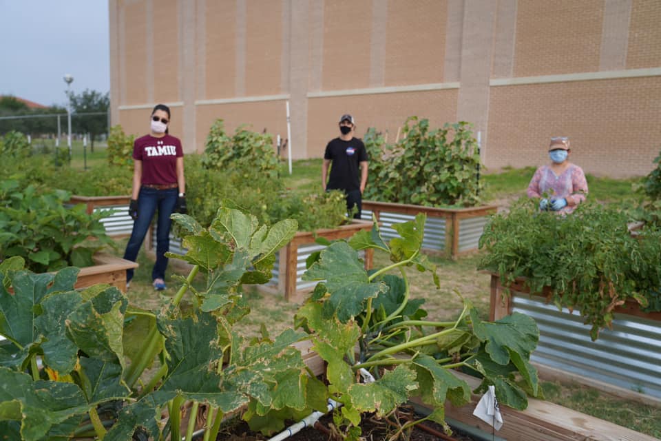 TAMIU Garden with two students helping out.