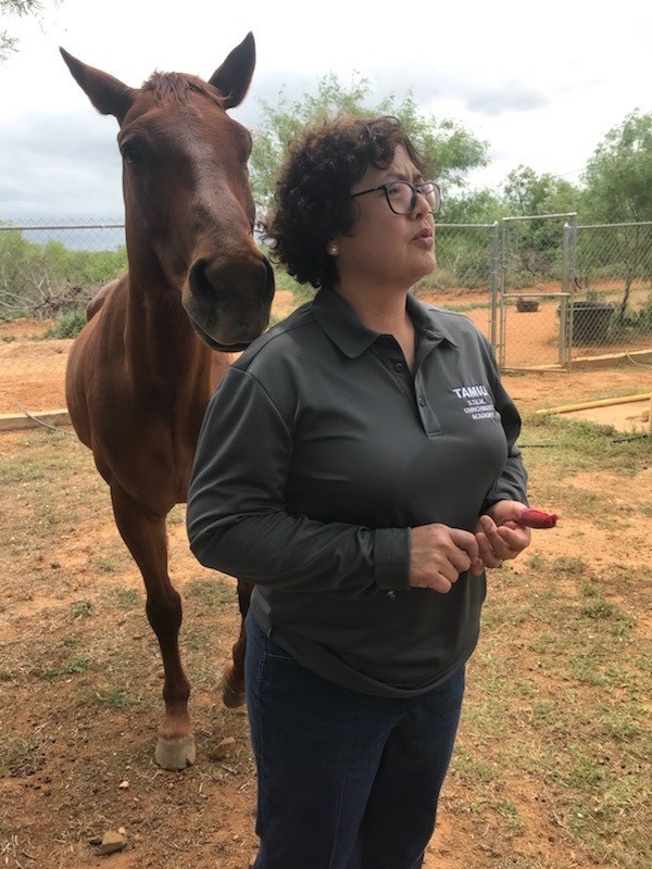 Dr. Viloria with horse