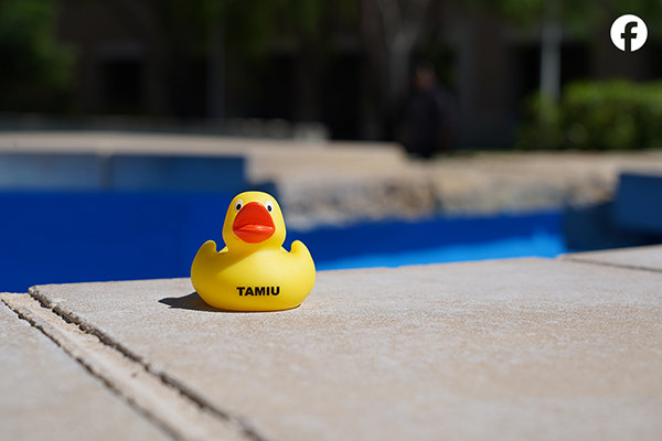 Fowl-o-Ducky