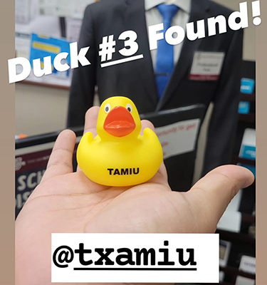 Duck near Career Services