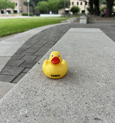 Duck outside of Cowart Hall