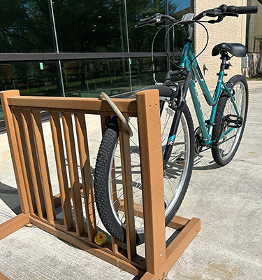 Duck near Student Center Bike Stand