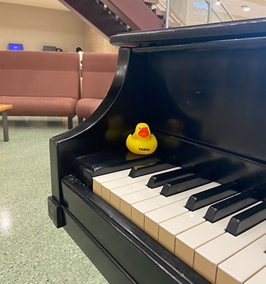 Duck near Zaffirini Success Center Piano