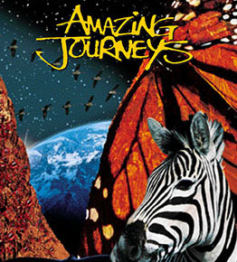 amazingjourneysm