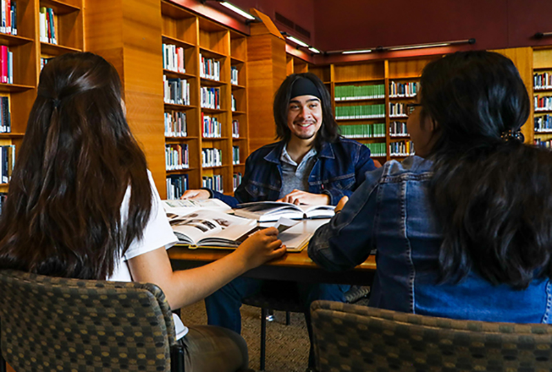 Student Studying