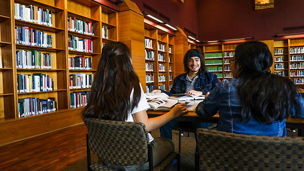 Students studying in the library
